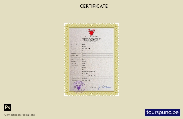 listo para imprimir plantilla PSD de certificado de nacimiento de registro civ 3